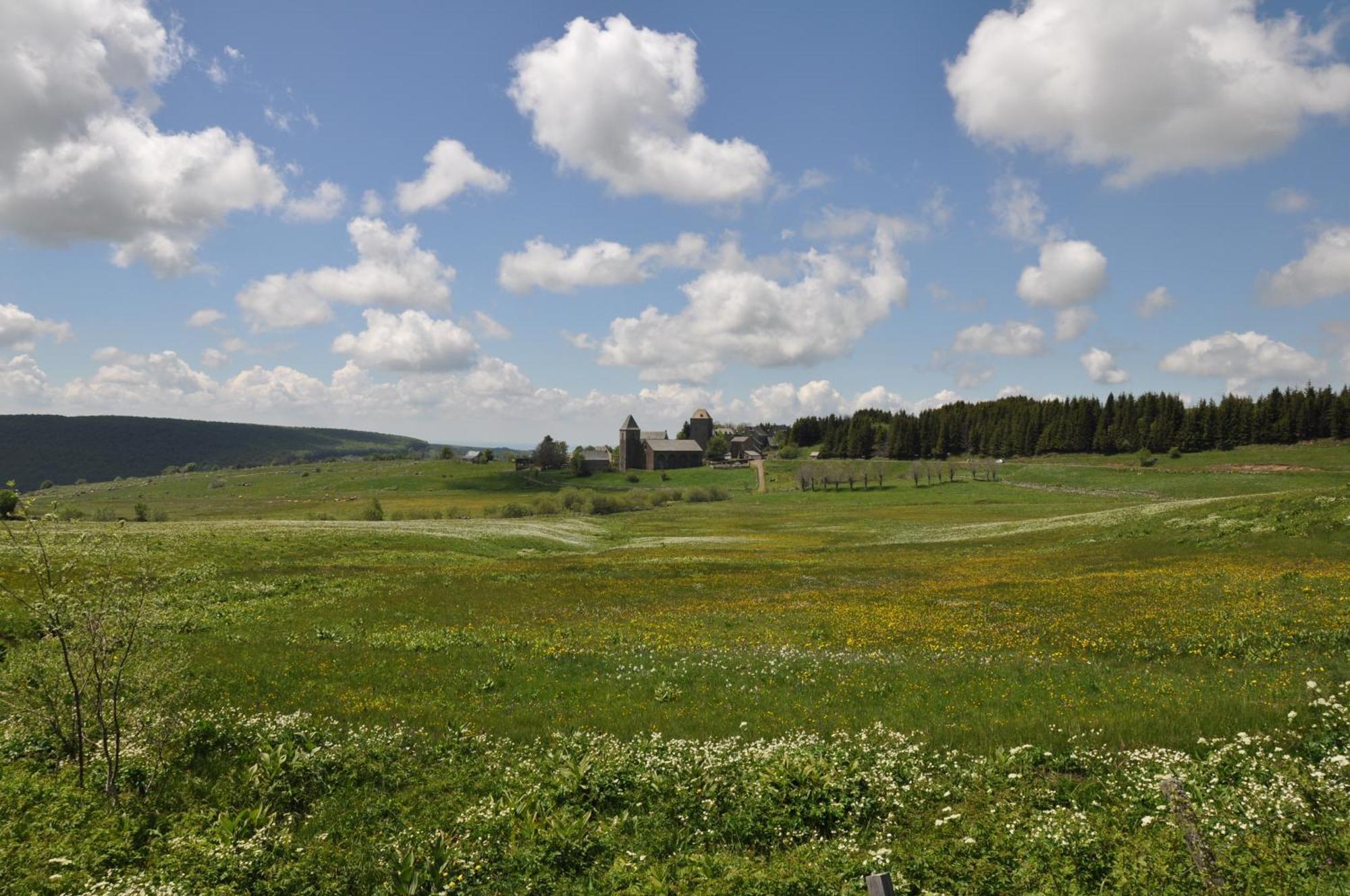 Chambres D'Hotes Le Lepadou-Bas Saint-Chely-d'Aubrac Exterior photo